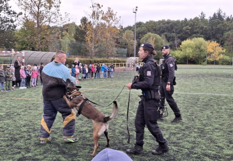 pátek 10. 10. 2025